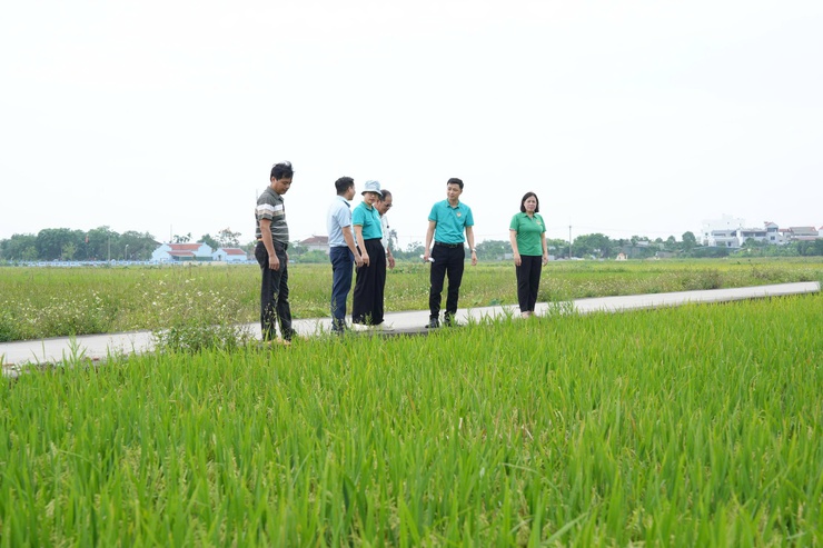 Thẩm định thực tế các phương án vay vốn quỹ hỗ trợ nông dân tại xã Thanh Oai- Ảnh 7.