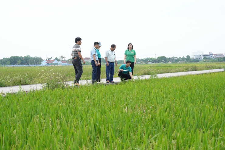 Thẩm định thực tế các phương án vay vốn quỹ hỗ trợ nông dân tại xã Thanh Oai- Ảnh 6.