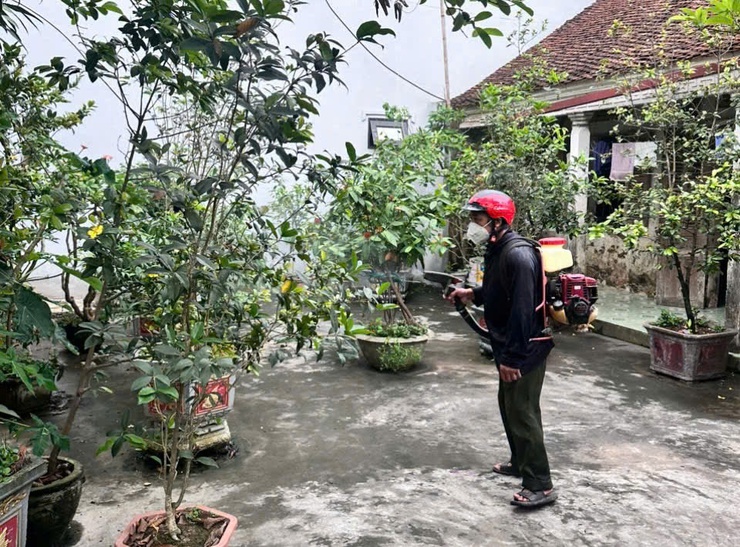 DÂN HÒA: NGƯỜI DÂN CẦN CHỦ ĐỘNG DIỆT BỌ GẬY, PHÒNG CHỐNG SỐT XUẤT HUYẾT- Ảnh 4.
