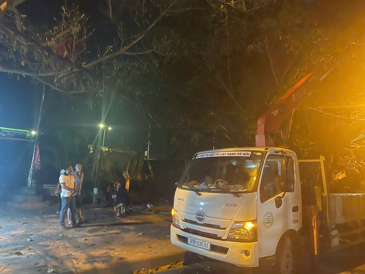 Nam Phù khẩn trương xử lý cây xanh gãy đổ trong đêm, đảm bảo an toàn giao thông tại thôn Tự Khoát- Ảnh 1.