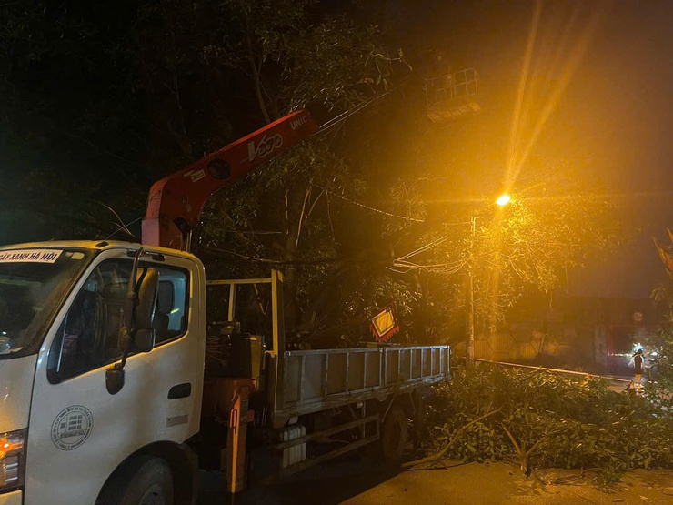 Nam Phù khẩn trương xử lý cây xanh gãy đổ trong đêm, đảm bảo an toàn giao thông tại thôn Tự Khoát- Ảnh 4.