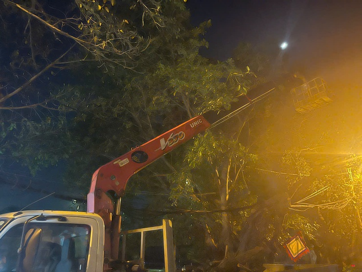Nam Phù khẩn trương xử lý cây xanh gãy đổ trong đêm, đảm bảo an toàn giao thông tại thôn Tự Khoát- Ảnh 5.