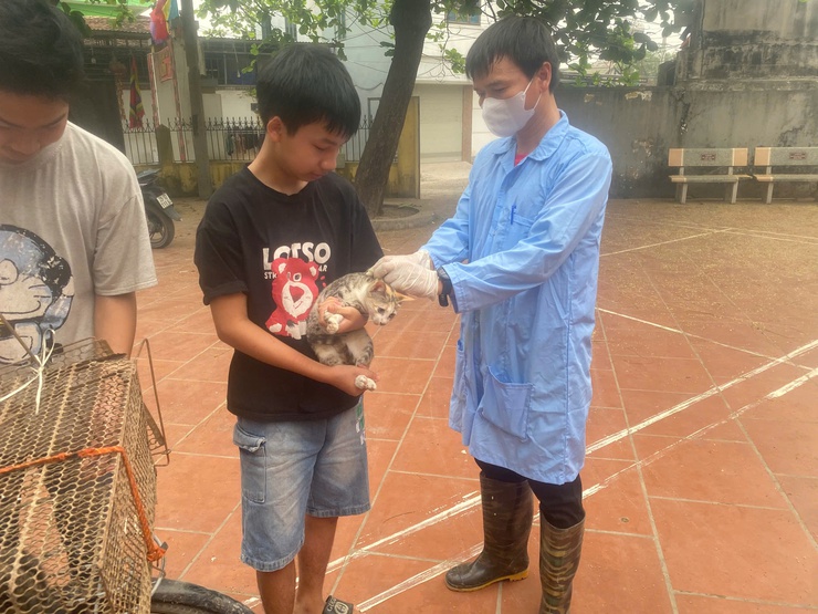 Xã Quảng Bị triển khai hiệu quả đợt tiêm phòng đại trà lần 1 năm 2026 cho đàn gia súc, gia cầm- Ảnh 5.