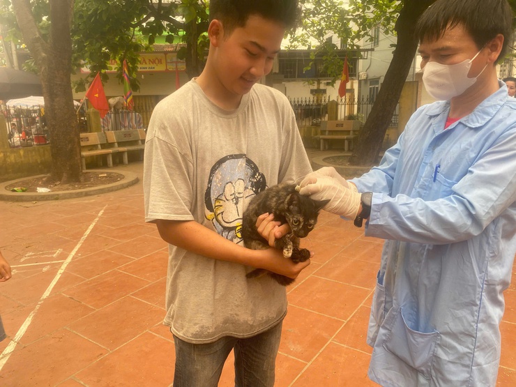 Xã Quảng Bị triển khai hiệu quả đợt tiêm phòng đại trà lần 1 năm 2026 cho đàn gia súc, gia cầm- Ảnh 6.