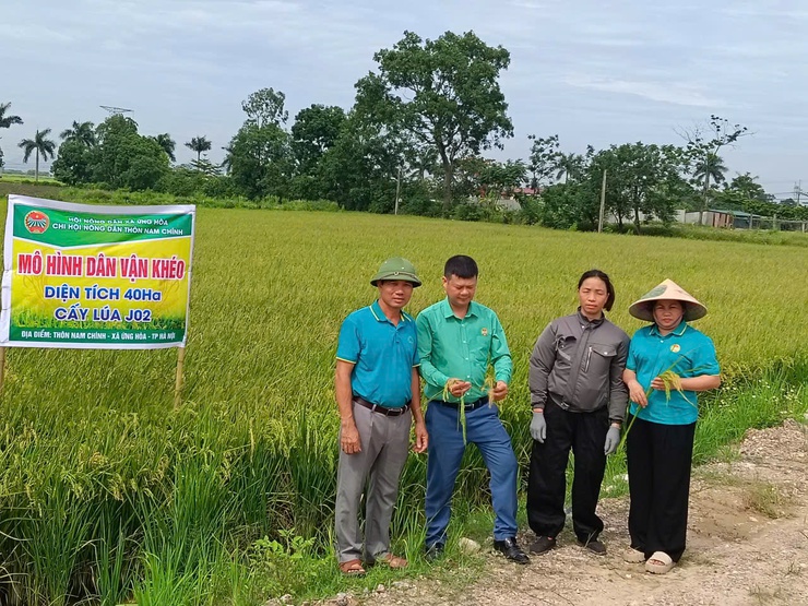 HỘI NÔNG DÂN XÃ ỨNG HÒA TRIỂN KHAI HIỆU QUẢ MÔ HÌNH "DÂN VẬN KHÉO" 40HA LÚA J02 TẠI THÔN NAM CHÍNH- Ảnh 1.
