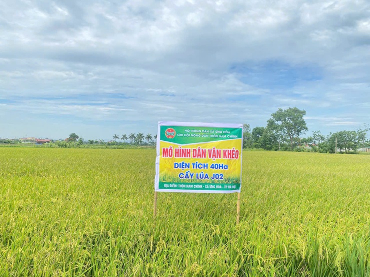 HỘI NÔNG DÂN XÃ ỨNG HÒA TRIỂN KHAI HIỆU QUẢ MÔ HÌNH "DÂN VẬN KHÉO" 40HA LÚA J02 TẠI THÔN NAM CHÍNH- Ảnh 2.