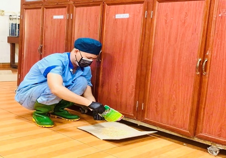 Chủ động triển khai phòng, chống virus Hanta trong tình hình mới- Ảnh 1.