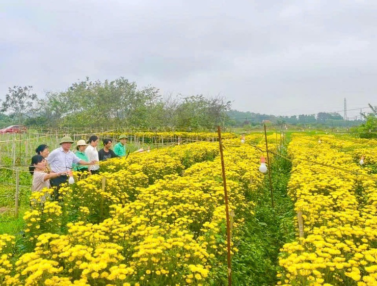 Phúc Thọ triển khai sản xuất nông nghiệp vụ Mùa gắn với vụ Đông năm 2026–2027- Ảnh 1.
