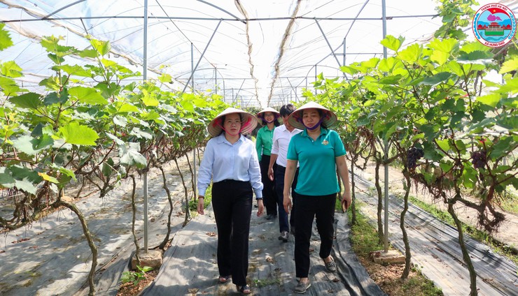 HỘI NÔNG DÂN XÃ HƯNG ĐẠO ĐÓN ĐOÀN KIỂM TRA BAN THƯỜNG VỤ HỘI NÔNG DÂN THÀNH PHỐ HÀ NỘI VỀ KIỂM TRA HOẠT ĐỘNG NHẬN ỦY THÁC NGÂN HÀNG CHÍNH SÁCH XÃ HỘI NĂM 2026- Ảnh 2.