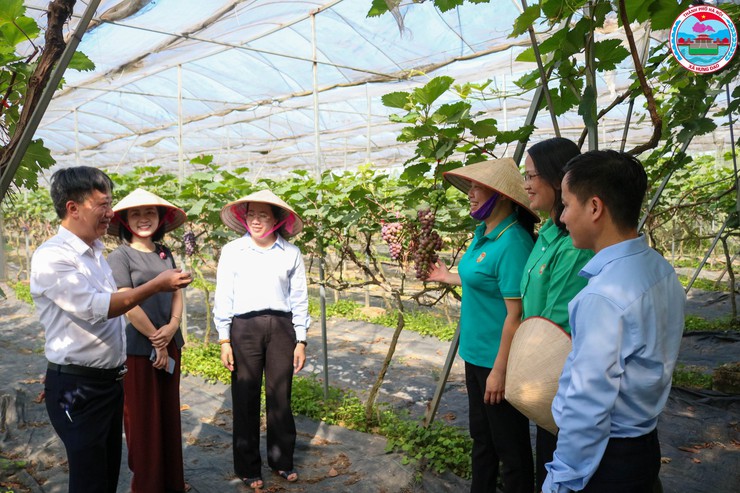 HỘI NÔNG DÂN XÃ HƯNG ĐẠO ĐÓN ĐOÀN KIỂM TRA BAN THƯỜNG VỤ HỘI NÔNG DÂN THÀNH PHỐ HÀ NỘI VỀ KIỂM TRA HOẠT ĐỘNG NHẬN ỦY THÁC NGÂN HÀNG CHÍNH SÁCH XÃ HỘI NĂM 2026- Ảnh 3.