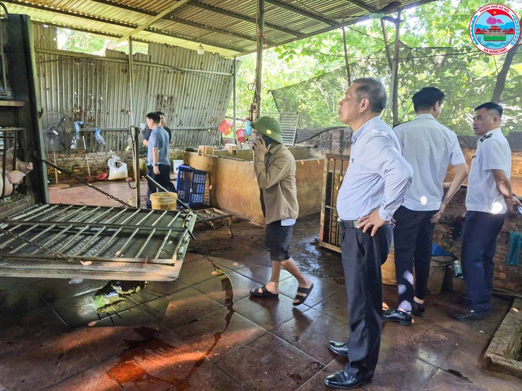 ĐOÀN KIỂM TRA THÀNH PHỐ HÀ NỘI LÀM VIỆC VỚI XÃ HƯNG ĐẠO VỀ CÔNG TÁC QUẢN LÝ HOẠT ĐỘNG CHĂN NUÔI, THÚ Y VÀ AN TOÀN THỰC PHẨM- Ảnh 3.