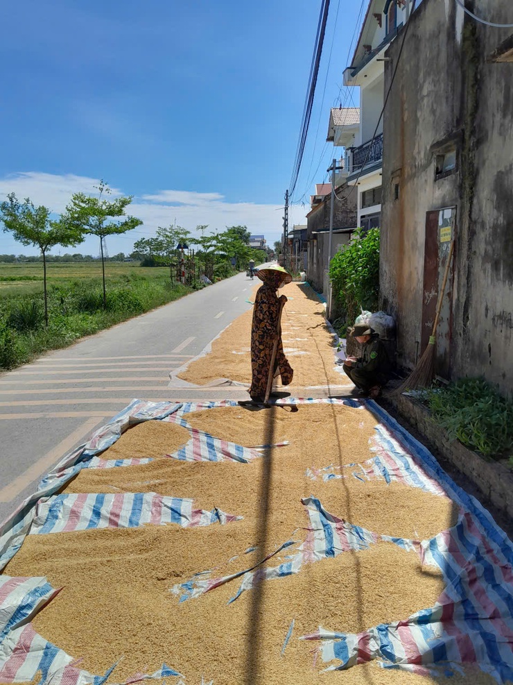 Tăng cường tuyên truyền, vận động Nhân dân không phơi thóc, nông sản trên lòng đường, vỉa hè gây mất an toàn giao thông- Ảnh 3.