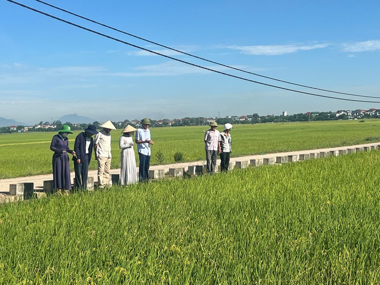 Xã Ứng Thiên tổ chức nghiệm thu, kiểm tra kết quả thực hiện hỗ trợ theo nghị quyết 53/2025/NQ-HDND đợt 1 năm 2026- Ảnh 2.