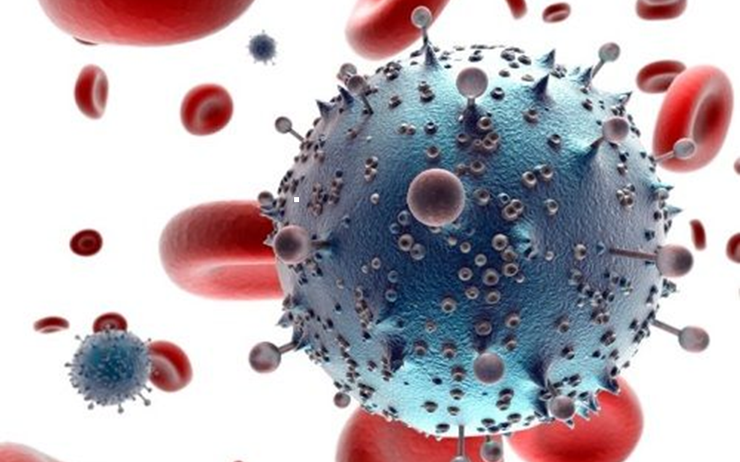 Việt Nam bổ sung thêm 6 chủng virus mới vào phác đồ điều trị bệnh Ebola- Ảnh 1.