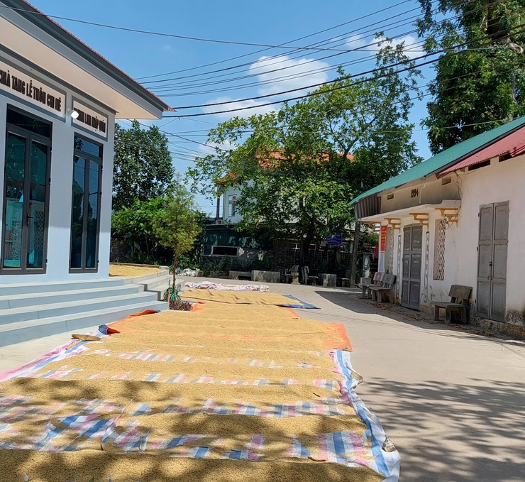 Tuyên truyền, vận động Nhân dân không phơi thóc, rơm rạ trên lòng đường, vỉa hè gây mất an toàn giao thông

- Ảnh 1.