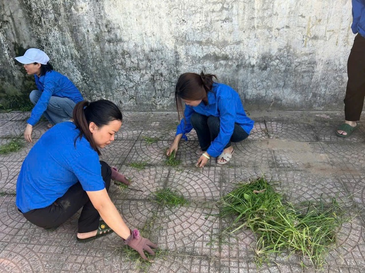 Sức trẻ Liên Minh và những dấu chân "Xanh" ngày cuối tuần- Ảnh 2.