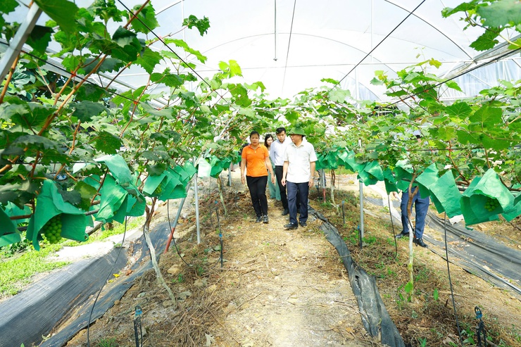Hội nghị giám sát hiệu quả thực hiện Chương trình mục tiêu quốc gia phát triển kinh tế - xã hội vùng đồng bào dân tộc thiểu số và miền núi giai đoạn 2021 - 2026 tại xã Yên Xuân- Ảnh 3.