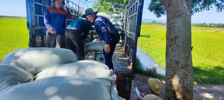 CHI HỘI NÔNG DÂN THÔN YÊN NỘI THỰC HIỆN MÔ HÌNH CƠ GIỚI HÓA ĐỒNG BỘ GẮN VỚI TIÊU THỤ SẢN PHẨM LÚA TƯƠI- Ảnh 2.