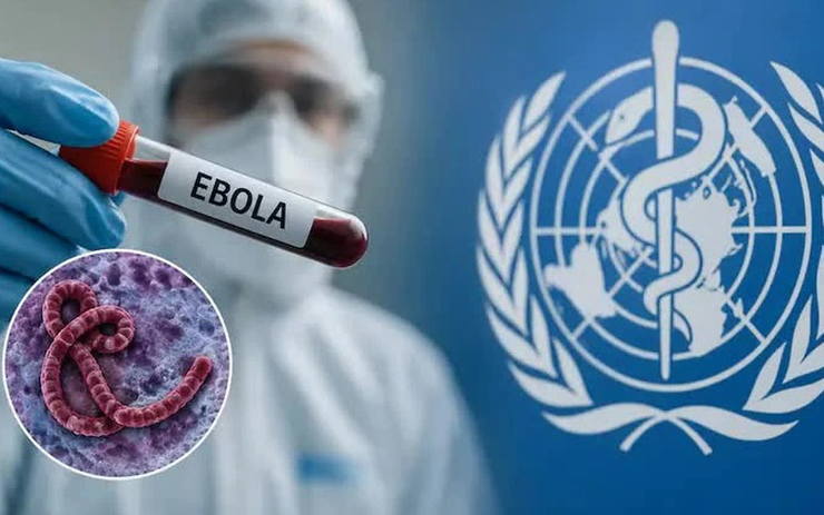 Phòng chống bệnh do Ebola Virus- Ảnh 1.