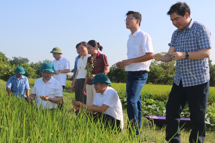 xã Hòa Phú: Hội nghị đánh giá năng suất vụ Xuân, triển khai kế hoạch sản xuất vụ Mùa năm 2026- Ảnh 2.