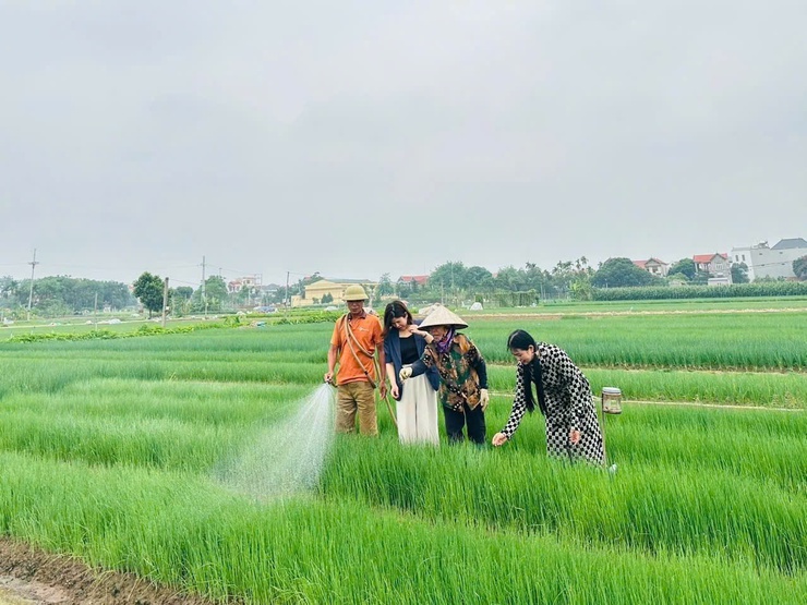 "Chạm công nghệ", mở lối nông nghiệp xanh ở Phúc Lộc- Ảnh 1.