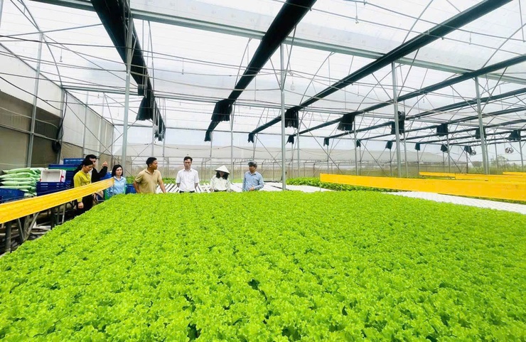 "Chạm công nghệ", mở lối nông nghiệp xanh ở Phúc Lộc- Ảnh 6.