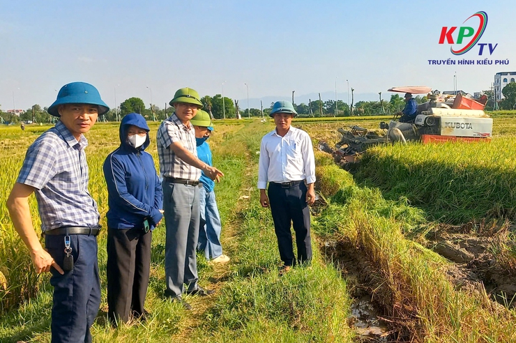 Đoàn công tác xã Kiều Phú tổ chức kiểm tra tiến độ thu hoạch lúa Xuân năm 2026- Ảnh 2.