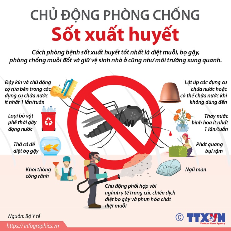 Tăng cường tuyên truyền phòng chống dịch bệnh sốt xuất huyết- Ảnh 1.