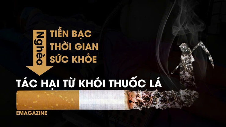 Phòng, chống tác hại của thuốc lá- Ảnh 1.