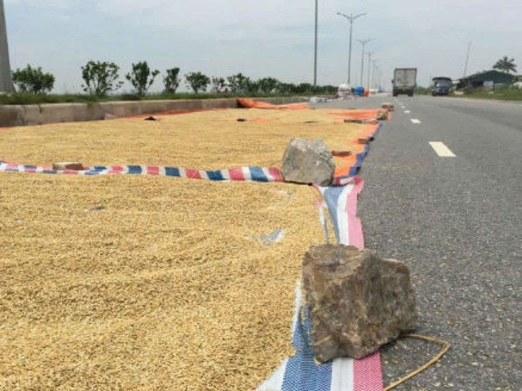 CHUNG TAY GIỮ GÌN AN TOÀN GIAO THÔNG TRONG MÙA THU HOẠCH LÚA- Ảnh 1.