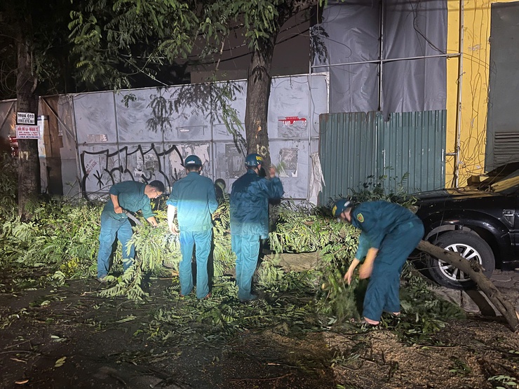Lực lượng dân quân thường trực phường Thanh Xuân kịp thời xử lý cây đổ sau giông lốc- Ảnh 1.