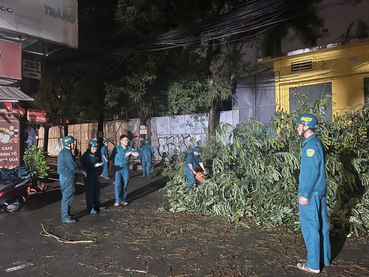 Lực lượng dân quân thường trực phường Thanh Xuân kịp thời xử lý cây đổ sau giông lốc- Ảnh 2.