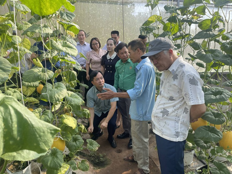 Hội thảo: Ứng dụng khoa học công nghệ vào phát triển kinh tế nông nghiệp.- Ảnh 3.