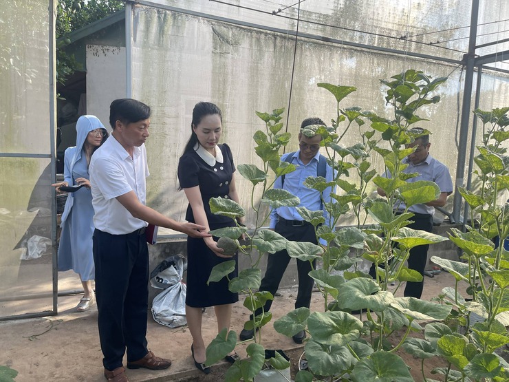 Hội thảo: Ứng dụng khoa học công nghệ vào phát triển kinh tế nông nghiệp.- Ảnh 2.