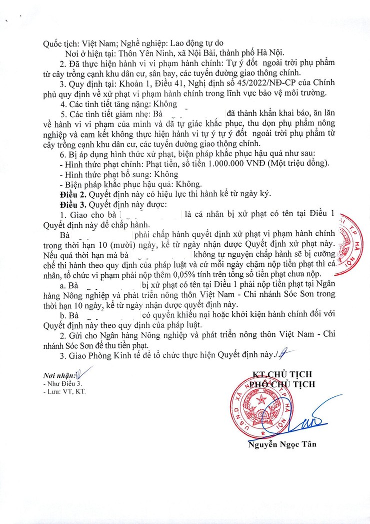 XÃ NỘI BÀI XỬ PHẠT NGHIÊM TRƯỜNG HỢP ĐỐT RƠM RẠ GÂY Ô NHIỄM MÔI TRƯỜNG- Ảnh 2.