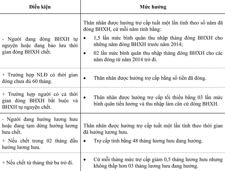 Những điều cần biết về chính sách BHXH tự nguyện- Ảnh 6.