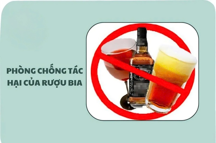 UBND xã Phú Nghĩa tăng cường thực hiện Luật Phòng, chống tác hại của rượu, bia trên địa bàn- Ảnh 1.