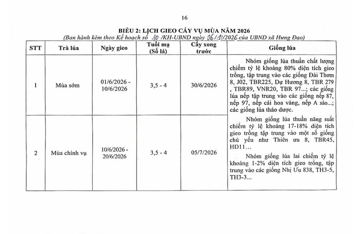 LỊCH GIEO CẤY VỤ MÙA NĂM 2026- Ảnh 1.