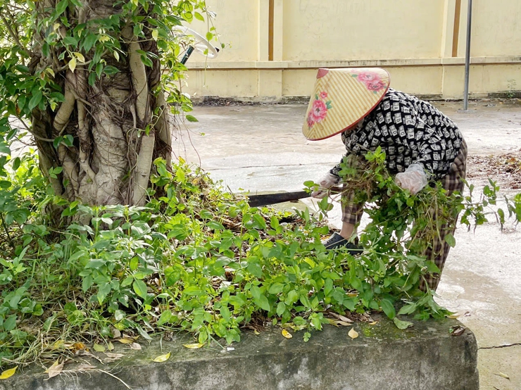 Tổ dân phố 16, 17 đồng loạt ra quân tổng dọn vệ sinh môi trường trên địa bàn khu dân cư- Ảnh 5.