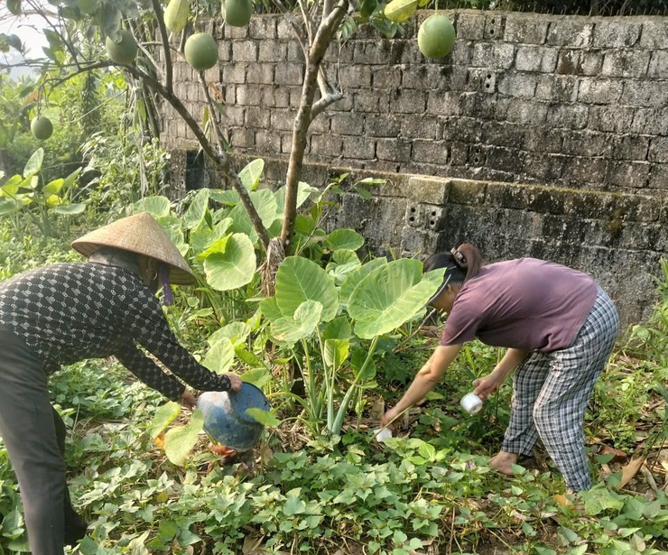 Phú Nghĩa ra quân tổng vệ sinh môi trường hưởng ứng Ngày ASEAN phòng, chống sốt xuất huyết lần thứ 16- Ảnh 8.