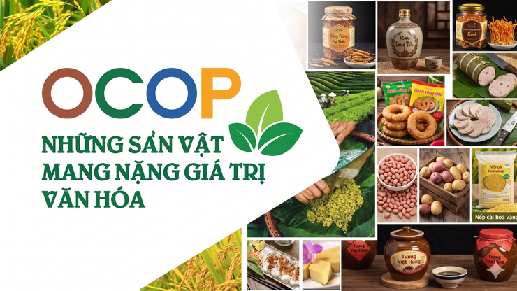 Công khai Danh sách các sản phẩm OCOP đã được chứng nhận trên địa bàn xã Đông Anh- Ảnh 1.