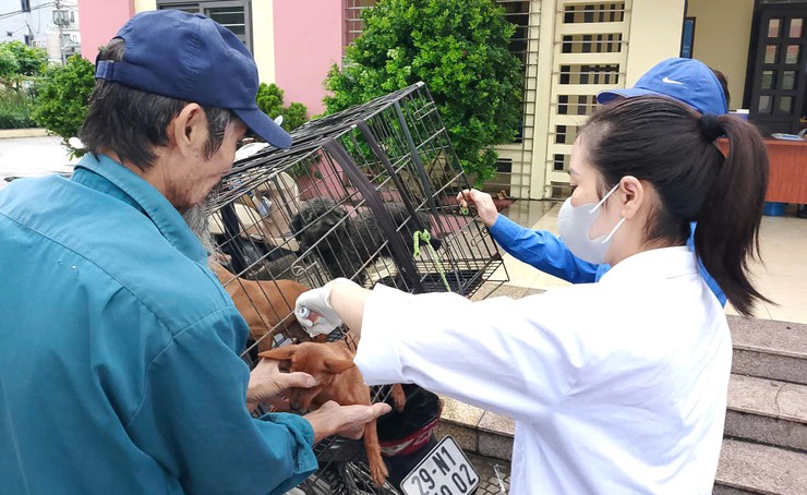 Bát Tràng chủ động, quyết liệt trong công tác phòng, chống dịch bệnh cho đàn vật nuôi- Ảnh 2.