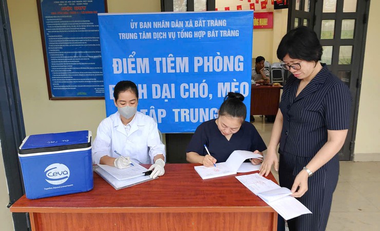 Bát Tràng chủ động, quyết liệt trong công tác phòng, chống dịch bệnh cho đàn vật nuôi- Ảnh 1.