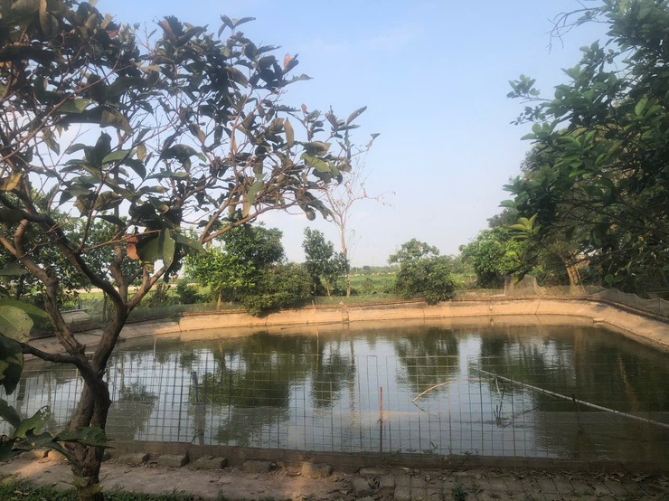 Hội Liên hiệp Phụ nữ xã Thượng Phúc phát huy hiệu quả nguồn vốn Ngân hàng Chính sách xã hội- Ảnh 1.