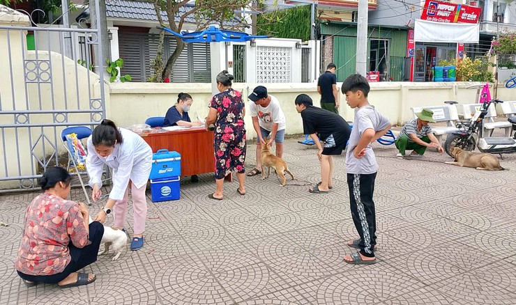 Bát Tràng chủ động, quyết liệt trong công tác phòng, chống dịch bệnh cho đàn vật nuôi- Ảnh 3.