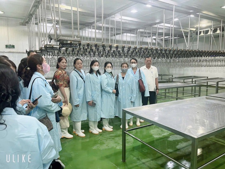 Đại Xuyên: nhiều trường học siết chặt kiểm soát an toàn thực phẩm trong bữa ăn bán trú- Ảnh 3.
