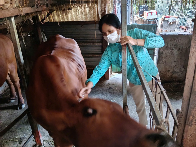 QUỐC OAI CHỦ ĐỘNG NGĂN CHẶN NGUY CƠ XÂM NHẬP VIRUS LỞ MỒM LONG MÓNG SEROTYPE SAT 1- Ảnh 2.