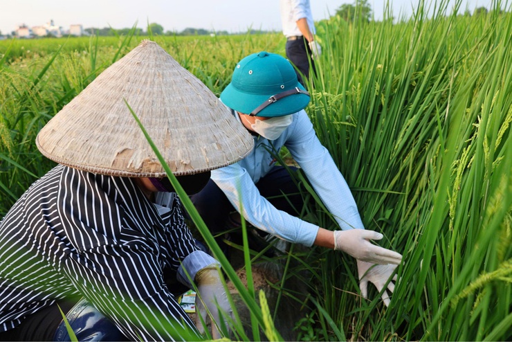 Xã Tiến Thắng đồng loạt ra quân diệt chuột bảo vệ cây trồng vụ Xuân 2026 và sức khỏe cộng đồng- Ảnh 2.