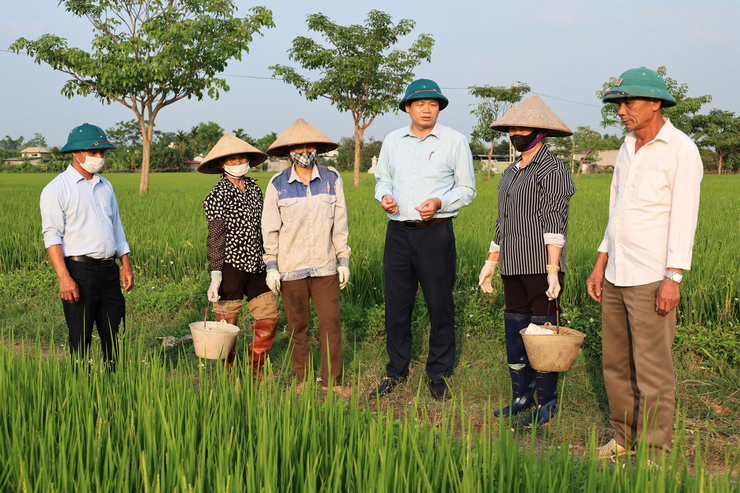 Xã Tiến Thắng đồng loạt ra quân diệt chuột bảo vệ cây trồng vụ Xuân 2026 và sức khỏe cộng đồng- Ảnh 1.