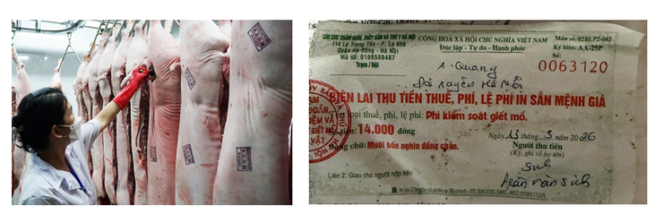 Hướng dẫn nhận diện thịt lợn tươi sống, đảm bảo an toàn- Ảnh 2.